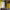 https://res.cloudinary.com/billionhands/image/upload/v1773061597/items/g5q7z9tgqoyslejcsyjk.jpg-1cover