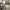 https://res.cloudinary.com/billionhands/image/upload/v1773061623/items/rosywuaa3ntyiew5dyha.jpg-2cover