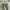 https://res.cloudinary.com/billionhands/image/upload/v1773061634/items/lo7xnba7smqvplynq6t0.jpg-3cover