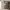https://res.cloudinary.com/billionhands/image/upload/v1773061691/items/fgxzxqov5bzrlriyw1qv.jpg-1cover