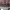 https://res.cloudinary.com/billionhands/image/upload/v1773061712/items/jzsyjhmrn5syx3fej6cy.jpg-3cover