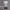 https://res.cloudinary.com/billionhands/image/upload/v1773061730/items/atdw3g40adygimrnb65h.jpg-3cover