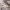 https://res.cloudinary.com/billionhands/image/upload/v1773061762/items/r28atb3m8rpep867h1tg.webp-0cover