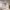 https://res.cloudinary.com/billionhands/image/upload/v1773061764/items/ytrtehdbm4wqyxu9envt.webp-2cover