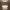 https://res.cloudinary.com/billionhands/image/upload/v1773061775/items/ujnqjfogvqzsdguwwnur.jpg-3cover