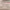 https://res.cloudinary.com/billionhands/image/upload/v1773061792/items/sdifcxzvac2tnlwto3la.webp-1cover