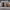 https://res.cloudinary.com/billionhands/image/upload/v1773061794/items/chtvkrg7va3g73wx8zyl.jpg-2cover