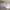 https://res.cloudinary.com/billionhands/image/upload/v1773061845/items/oj4jlyqshamaa029mlfe.jpg-3cover