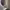 https://res.cloudinary.com/billionhands/image/upload/v1773061852/items/h0iw11ke8sb4lmqnhzxk.jpg-2cover