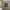 https://res.cloudinary.com/billionhands/image/upload/v1773061853/items/h1dm9fjhtlvg1ngbsx8w.jpg-3cover