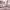 https://res.cloudinary.com/billionhands/image/upload/v1773061863/items/g8o5gu86bnstescwa68n.webp-0cover