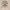 https://res.cloudinary.com/billionhands/image/upload/v1773061880/items/xpzulatxit1jihdnnlgp.png-2cover