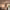 https://res.cloudinary.com/billionhands/image/upload/v1773061889/items/oprexo5ziuai8jztttab.webp-2cover