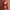 https://res.cloudinary.com/billionhands/image/upload/v1773061914/items/vgxskwlmafad1nllplye.jpg-1cover