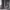 https://res.cloudinary.com/billionhands/image/upload/v1773061927/items/xirny0iwgdqmdposk2az.jpg-3cover