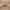 https://res.cloudinary.com/billionhands/image/upload/v1773061951/items/j7kwpt9lugy0el44wwaw.jpg-3cover