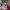 https://res.cloudinary.com/billionhands/image/upload/v1773061972/items/ezgeunc7malzuxrxsyql.webp-0cover