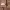 https://res.cloudinary.com/billionhands/image/upload/v1773061992/items/krw6ltzilkadm3kws9l7.jpg-0cover