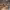 https://res.cloudinary.com/billionhands/image/upload/v1773062016/items/cjds4b3sipzlxt4upxqq.jpg-2cover