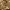 https://res.cloudinary.com/billionhands/image/upload/v1773062019/items/nenzepeiasdtp9wadvpi.jpg-3cover