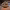 https://res.cloudinary.com/billionhands/image/upload/v1773062036/items/jw0efc2bjbzemwmhy3ug.webp-3cover