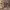 https://res.cloudinary.com/billionhands/image/upload/v1773062098/items/ftuj4vdrkqffqpvhwxbw.jpg-3cover