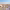 https://res.cloudinary.com/billionhands/image/upload/v1773062098/items/vzvuselv7v8orwvugymo.webp-2cover