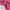 https://res.cloudinary.com/billionhands/image/upload/v1773123842/items/r2ovnhh9oaesmqwb7vdk.png-3cover