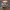 https://res.cloudinary.com/billionhands/image/upload/v1773144683/items/ljex4ifsouvmni9caxh2.jpg-0cover