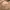https://res.cloudinary.com/billionhands/image/upload/v1773144755/items/ufo0rododwhkgplom2ag.webp-2cover