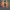 https://res.cloudinary.com/billionhands/image/upload/v1773144867/items/svqgrtm5zklhjbglubad.avif-2cover