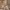 https://res.cloudinary.com/billionhands/image/upload/v1773154976/items/xnxvjuc5x7zd18bdqx9w.jpg-3cover