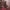 https://res.cloudinary.com/billionhands/image/upload/v1773155010/items/ljexj7ffp4nevfbuusta.jpg-2cover