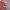 https://res.cloudinary.com/billionhands/image/upload/v1773155014/items/tkoenrueqrzngeyffga9.jpg-1cover