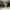 https://res.cloudinary.com/billionhands/image/upload/v1773155016/items/hvpkpj4yvkgbspego1ck.jpg-1cover