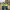 https://res.cloudinary.com/billionhands/image/upload/v1773155058/items/enkfmosq5lhpp9q5qaid.jpg-3cover