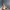 https://res.cloudinary.com/billionhands/image/upload/v1773155189/items/ngg6ofxqjtwg71x2l7a3.avif-3cover