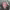 https://res.cloudinary.com/billionhands/image/upload/v1773155194/items/gjmianb58jhim4tlqngi.jpg-1cover