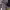 https://res.cloudinary.com/billionhands/image/upload/v1773155268/items/gomxb3fggfau4m3h3qwr.webp-2cover