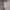 https://res.cloudinary.com/billionhands/image/upload/v1773155546/items/liabx0lthe1e5kzo9pzn.jpg-2cover