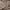 https://res.cloudinary.com/billionhands/image/upload/v1773155594/items/onbyiqif0cxpulj7g6vo.webp-3cover