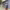 https://res.cloudinary.com/billionhands/image/upload/v1773155656/items/ikaauuhor1ybljwtfp3w.jpg-3cover