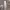 https://res.cloudinary.com/billionhands/image/upload/v1773155688/items/ughm93lsvqm5mnhd9kmm.jpg-2cover