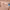 https://res.cloudinary.com/billionhands/image/upload/v1773155764/items/xlwixfqnsp8hunq6uhls.webp-0cover