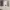 https://res.cloudinary.com/billionhands/image/upload/v1773155765/items/ngqryjgkcaijyggdiq1h.jpg-2cover