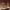 https://res.cloudinary.com/billionhands/image/upload/v1773155772/items/iuvieq8rwrmqrqpvt4d8.jpg-2cover