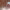 https://res.cloudinary.com/billionhands/image/upload/v1773155912/items/l1sfx3mddhmnp8kb6mtn.webp-3cover