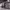 https://res.cloudinary.com/billionhands/image/upload/v1773155991/items/lwbr31he54kytq2toxmu.jpg-0cover