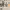 https://res.cloudinary.com/billionhands/image/upload/v1773156019/items/is3vlf6t11hrcwfmc1ni.jpg-0cover
