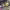 https://res.cloudinary.com/billionhands/image/upload/v1773156038/items/anwbbe1or1s7sjhazqrr.webp-2cover